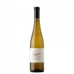 TERRANTEZ DO PICO BRANCO ANTÓNIO MAÇANITA TERRANTEZ DO PICO BRANCO ANTÓNIO MAÇANITA