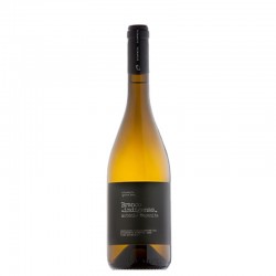 BRANCO DE INDÍGENAS ANTÓNIO MAÇANITA  BRANCO DE INDÍGENAS ANTÓNIO MAÇANITA