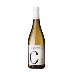 CAPELA BRANCO CAPELA BRANCO