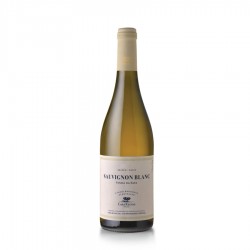 CASA RELVAS SAUVIGNON BLANC CASA RELVAS SAUVIGNON BLANC