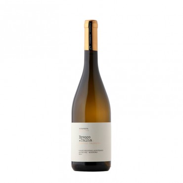 BRANCO DE TALHA ANTÓNIO MAÇANITA