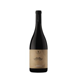 PAULO LAUREANO TINTO PAULO LAUREANO TINTO