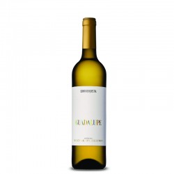GUADALUPE WINEMAKER´S SELECTION BRANCO GUADALUPE WINEMAKER´S SELECTION BRANCO