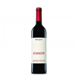 GUADALUPE WINEMAKER´S SELECTION TINTO GUADALUPE WINEMAKER´S SELECTION TINTO