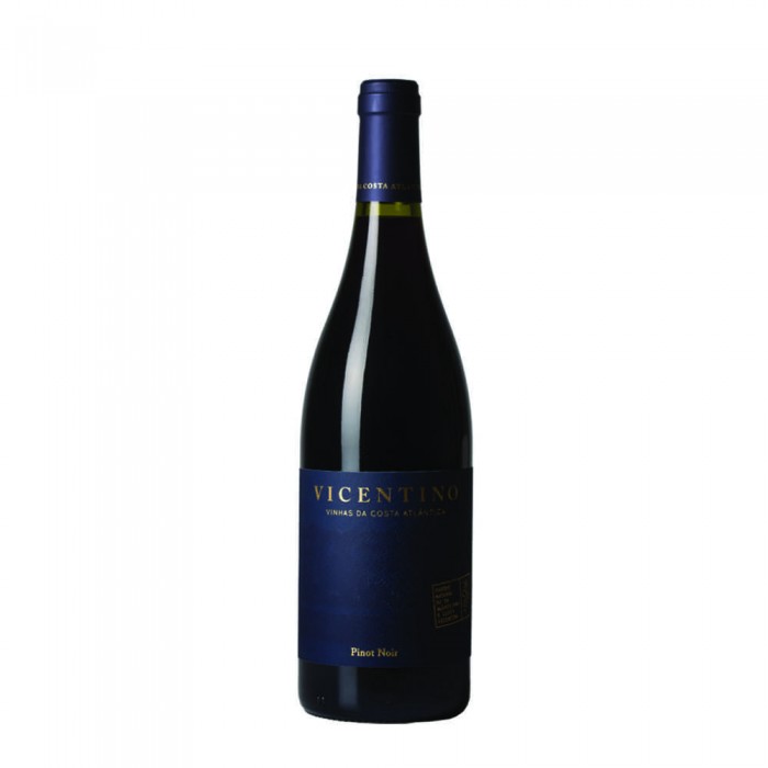 VICENTINO PINOT NOIR